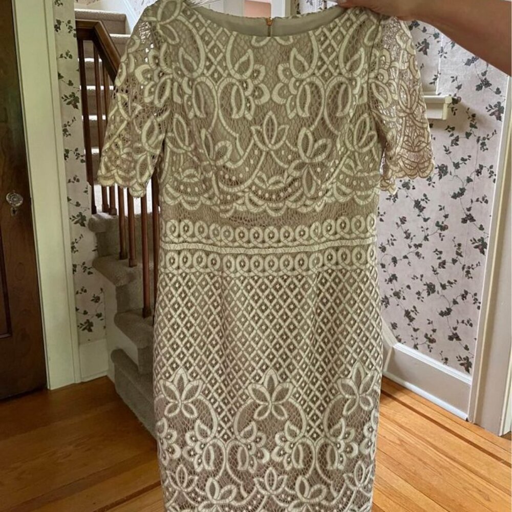 Eliza J Lace Dress